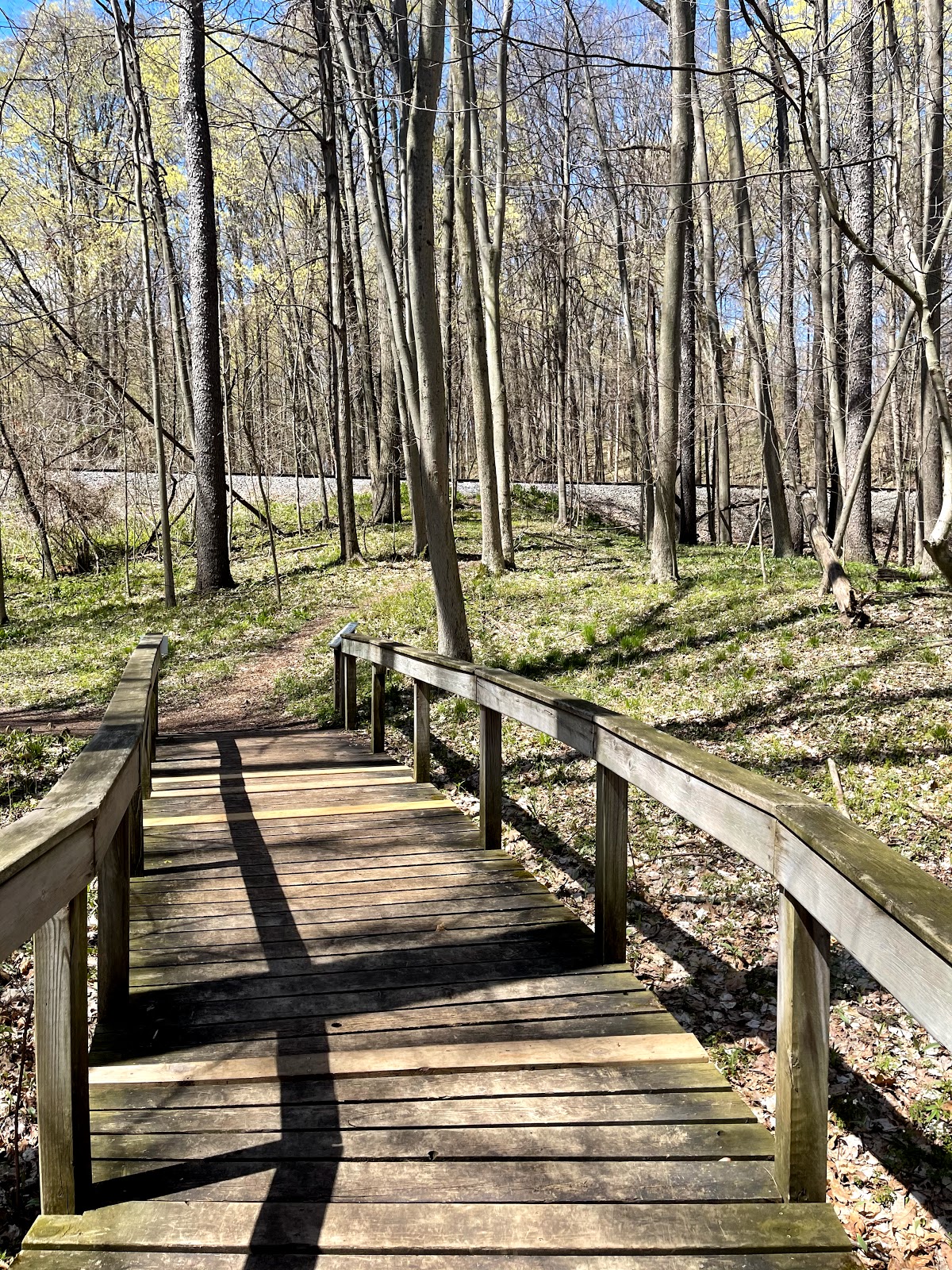 Kalamazoo (Kalamazoo Nature Center & downtown)