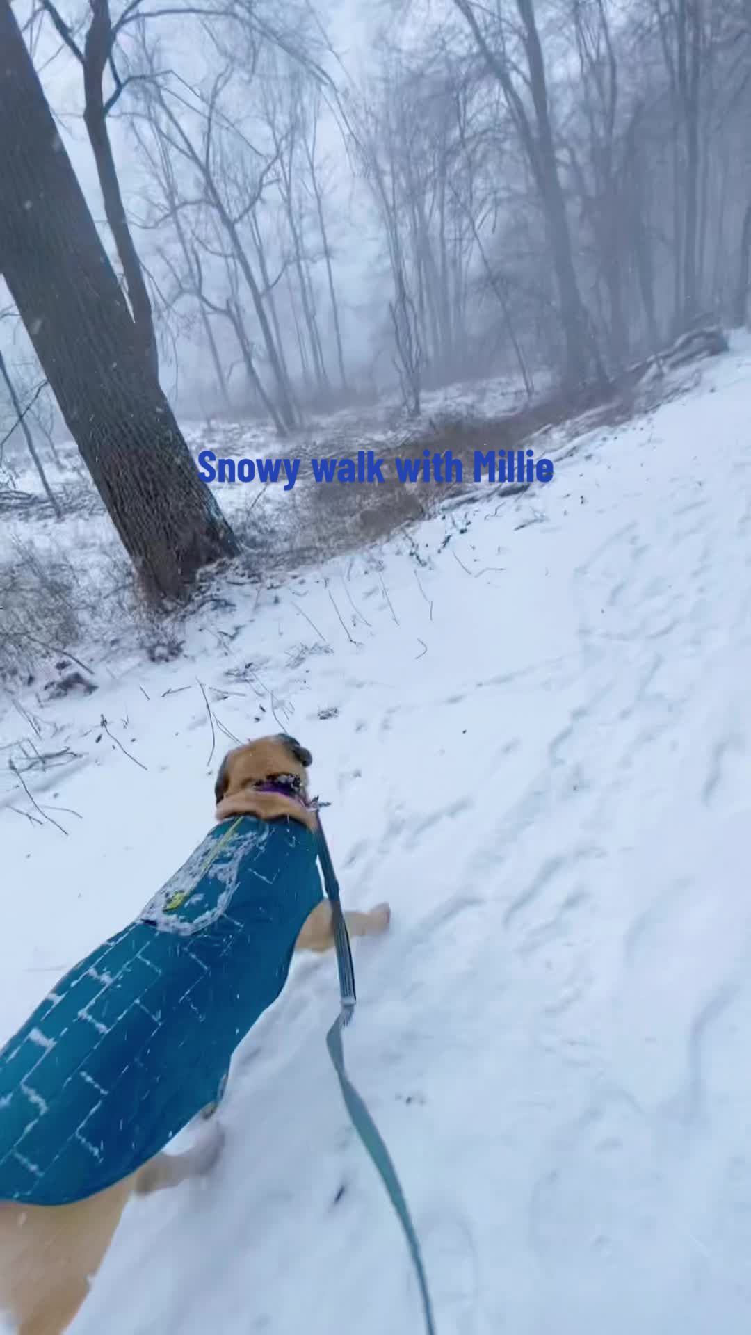 Kalamazoo Nature Center