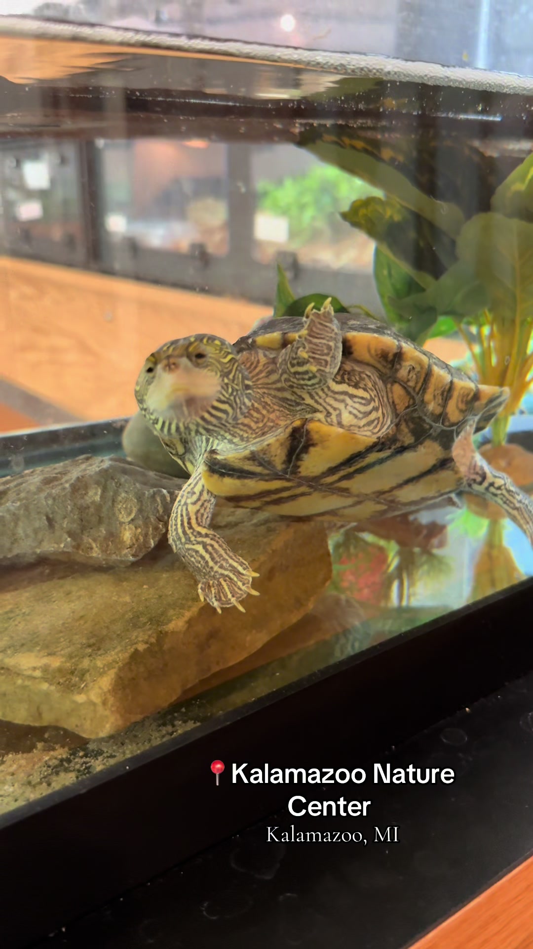 Kalamazoo Nature Center