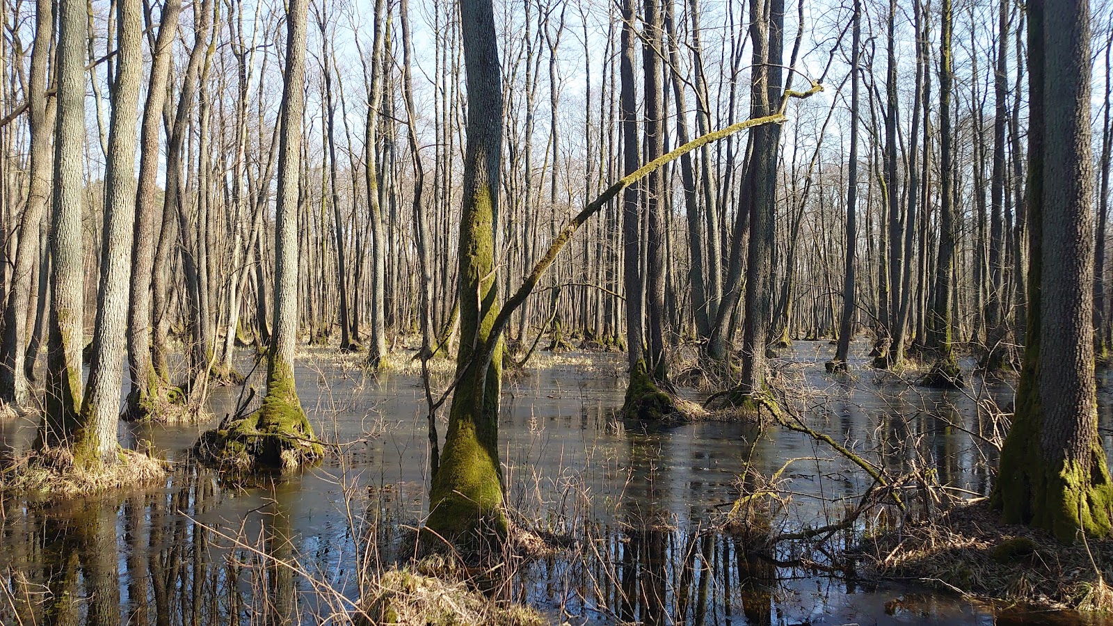 Национальный парк Кампинос