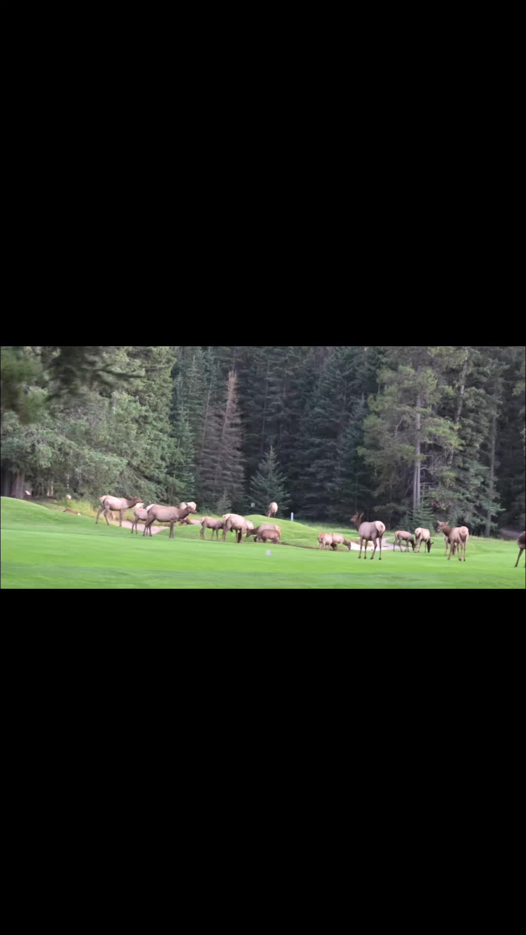 Kananaskis Country