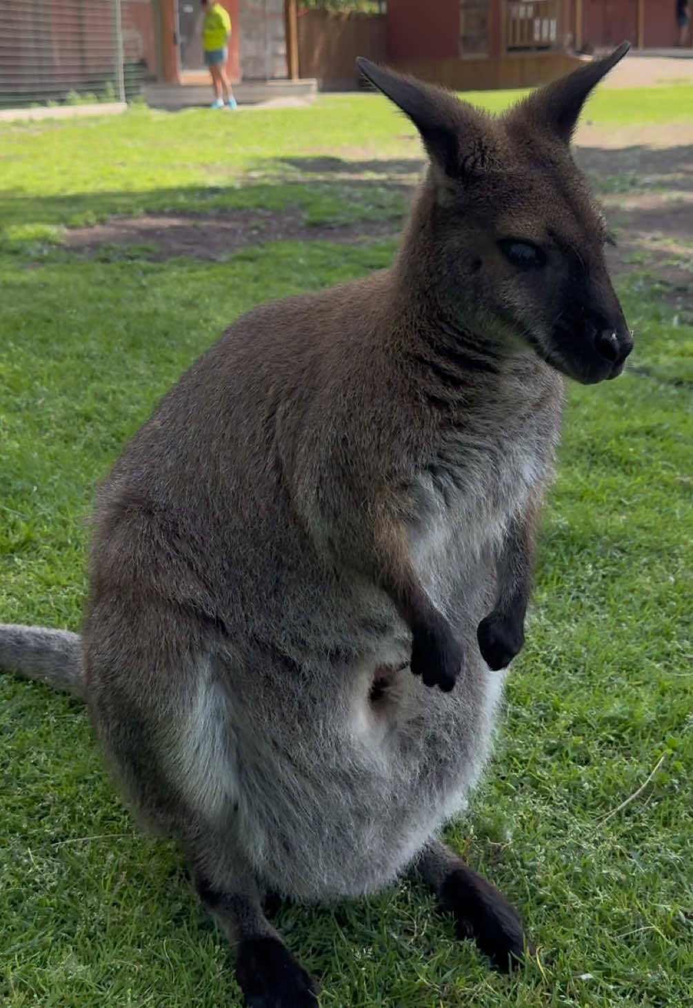 Kangaroo Creek Farm