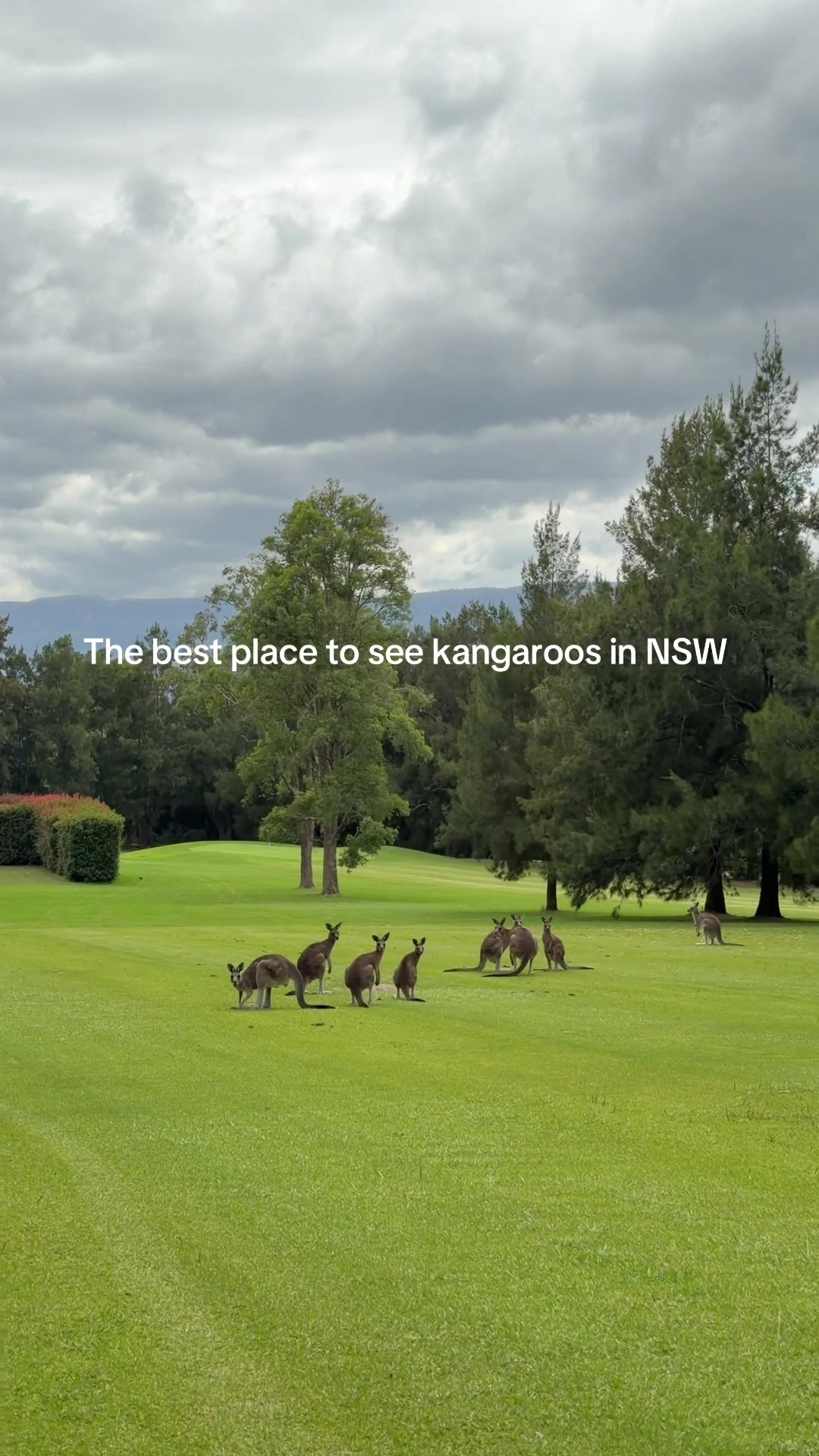 Kangaroo Valley