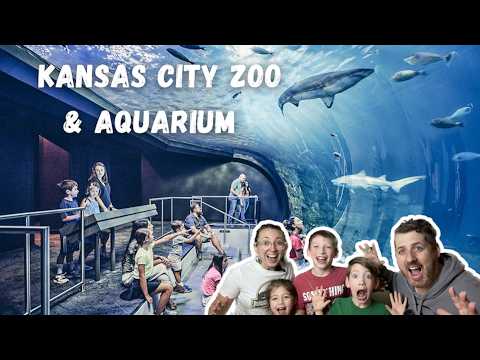 Kansas City Zoo & Aquarium