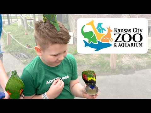 Kansas City Zoo & Aquarium