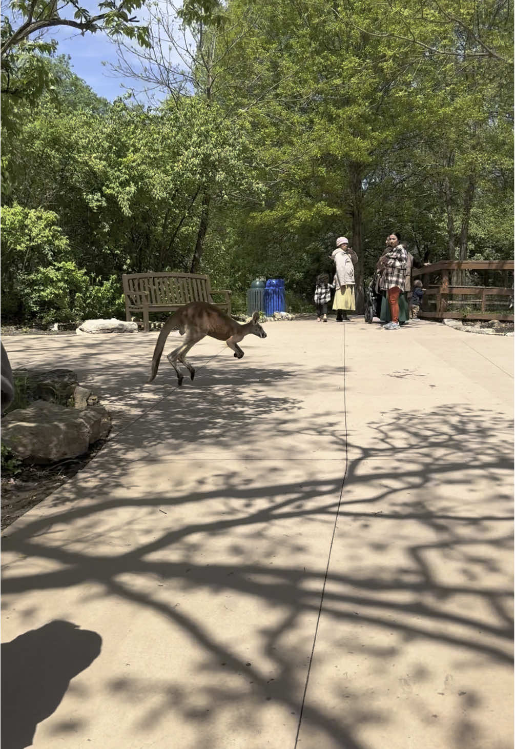 Kansas City Zoo