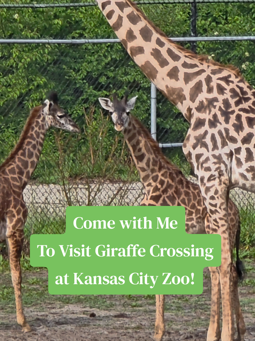 Kansas City Zoo