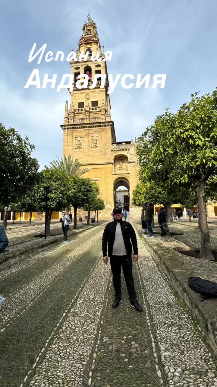 Кармона