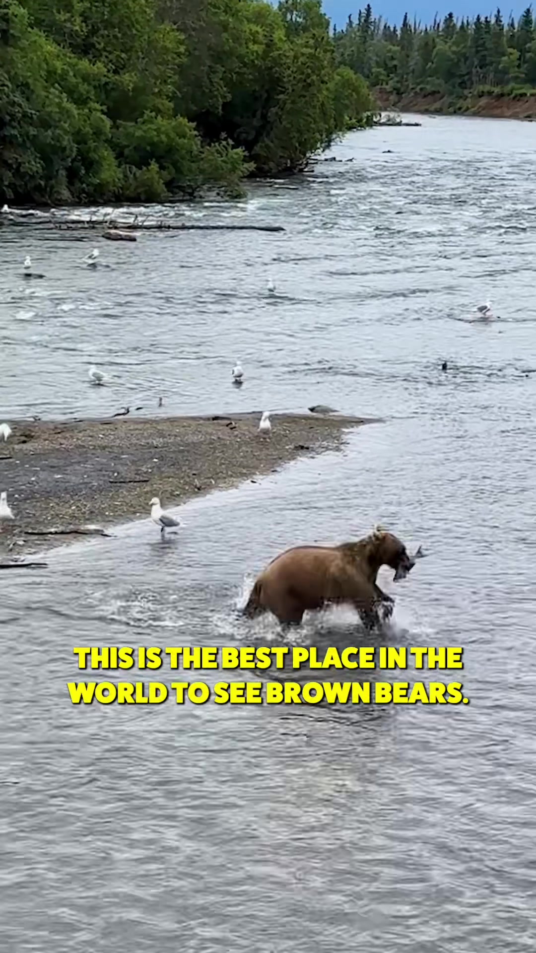 Katmai National Park