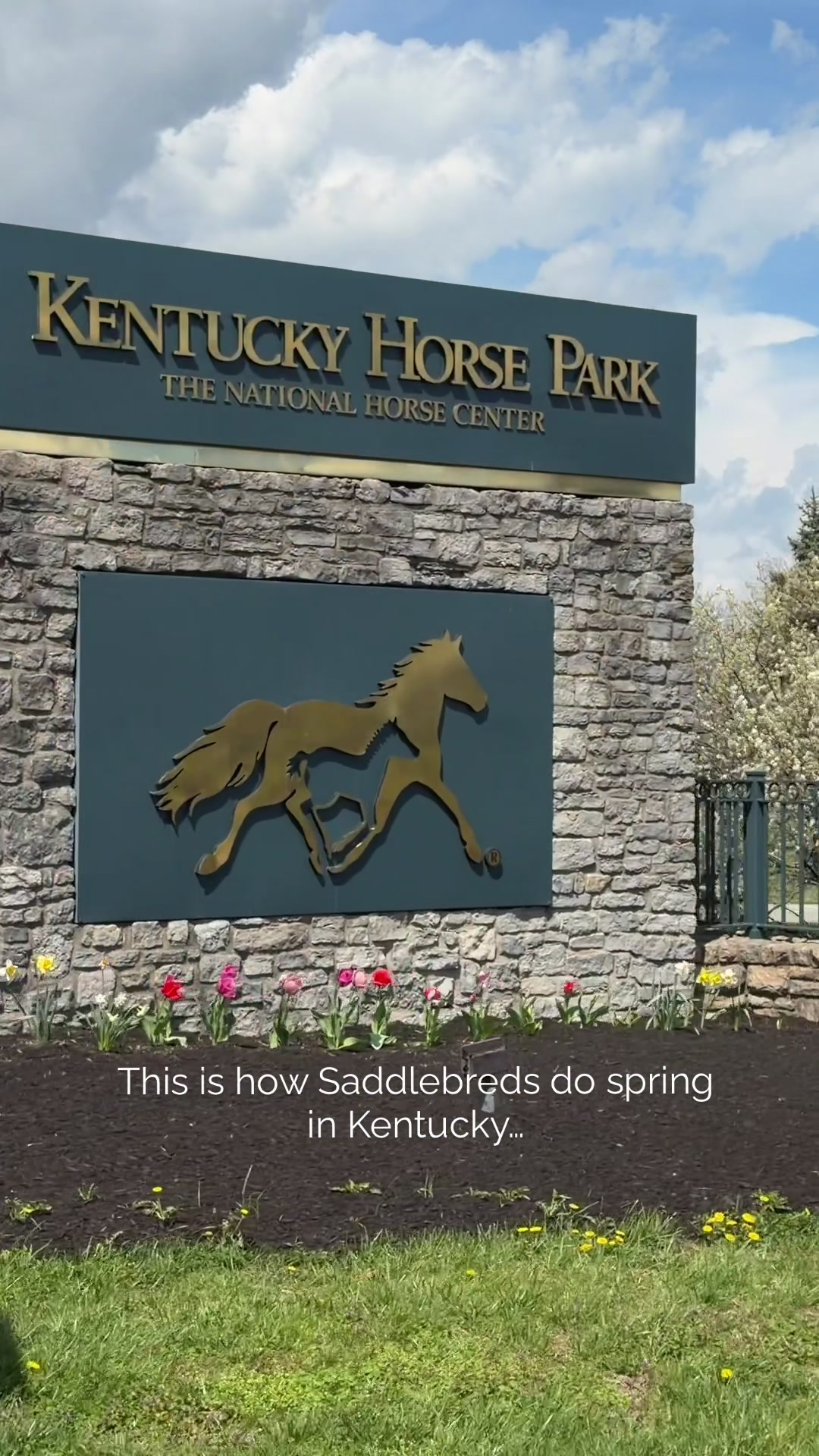 Kentucky Horse Park
