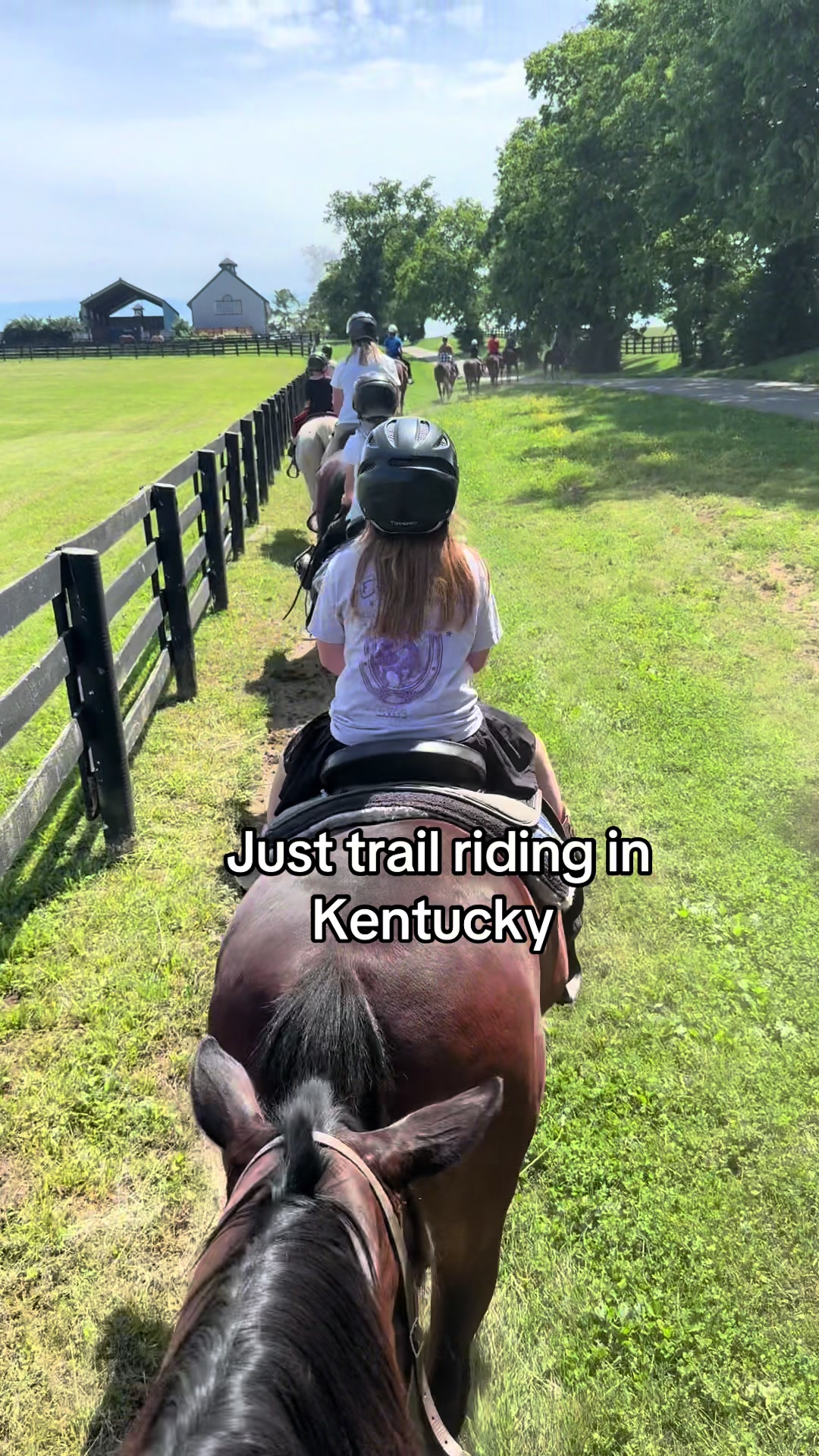 Kentucky Horse Park