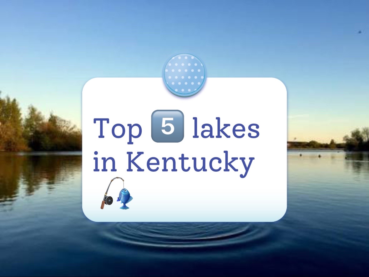 Kentucky Lake