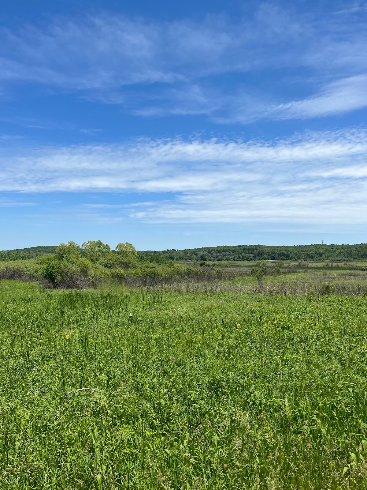 Kettle Moraine State Forest, WI