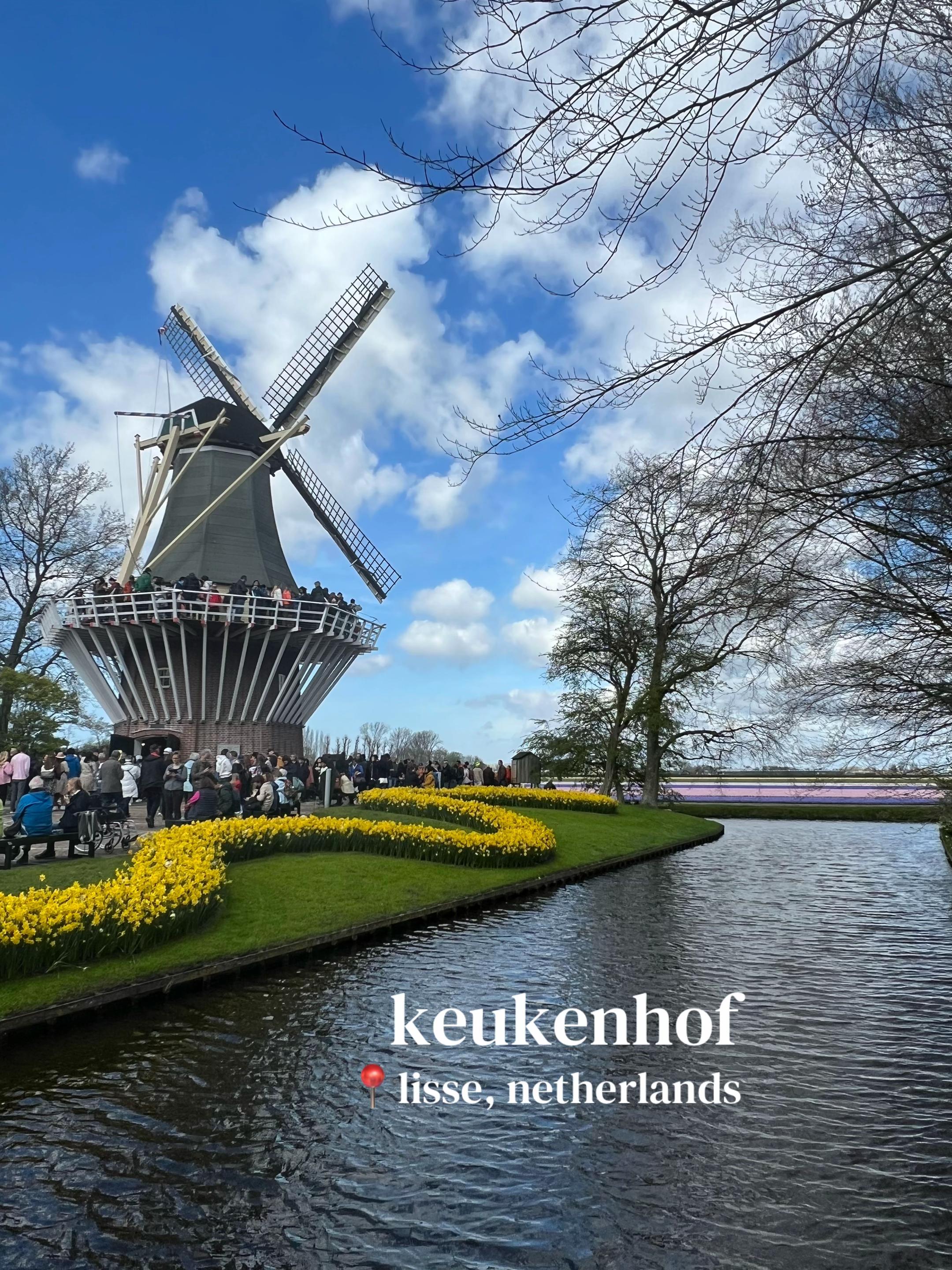 Keukenhof Gardens