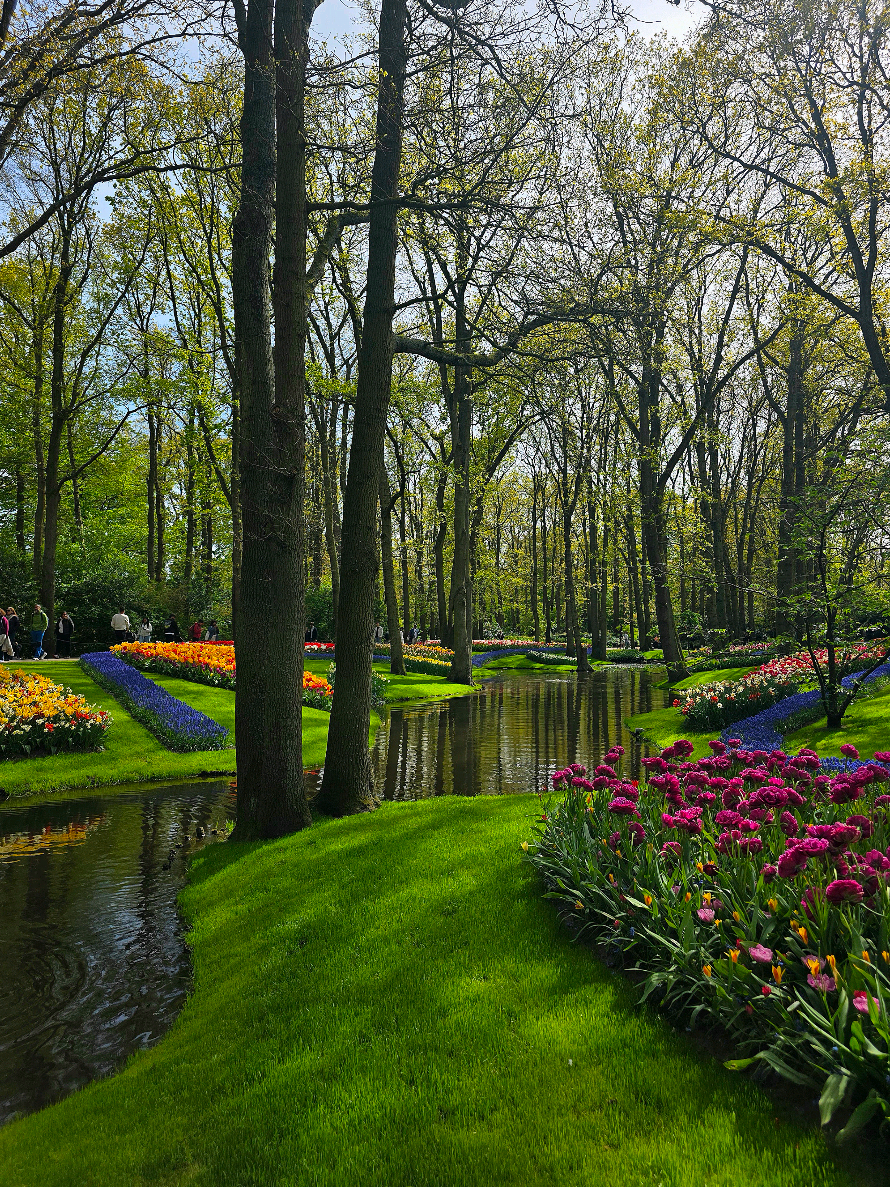 Keukenhof Gardens