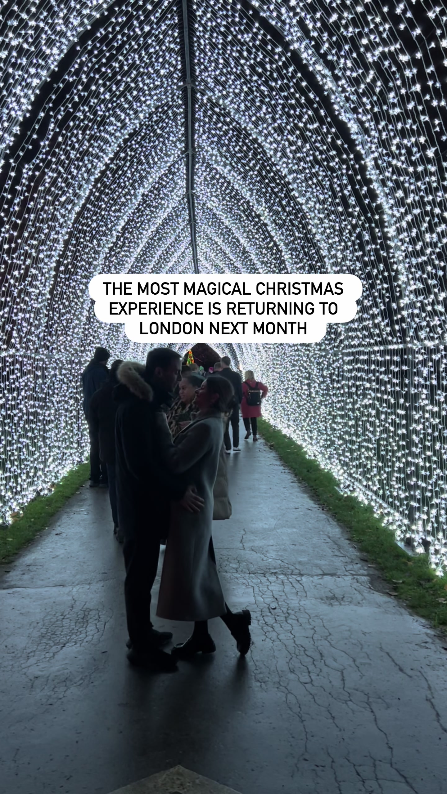 Kew Gardens Christmas at Kew