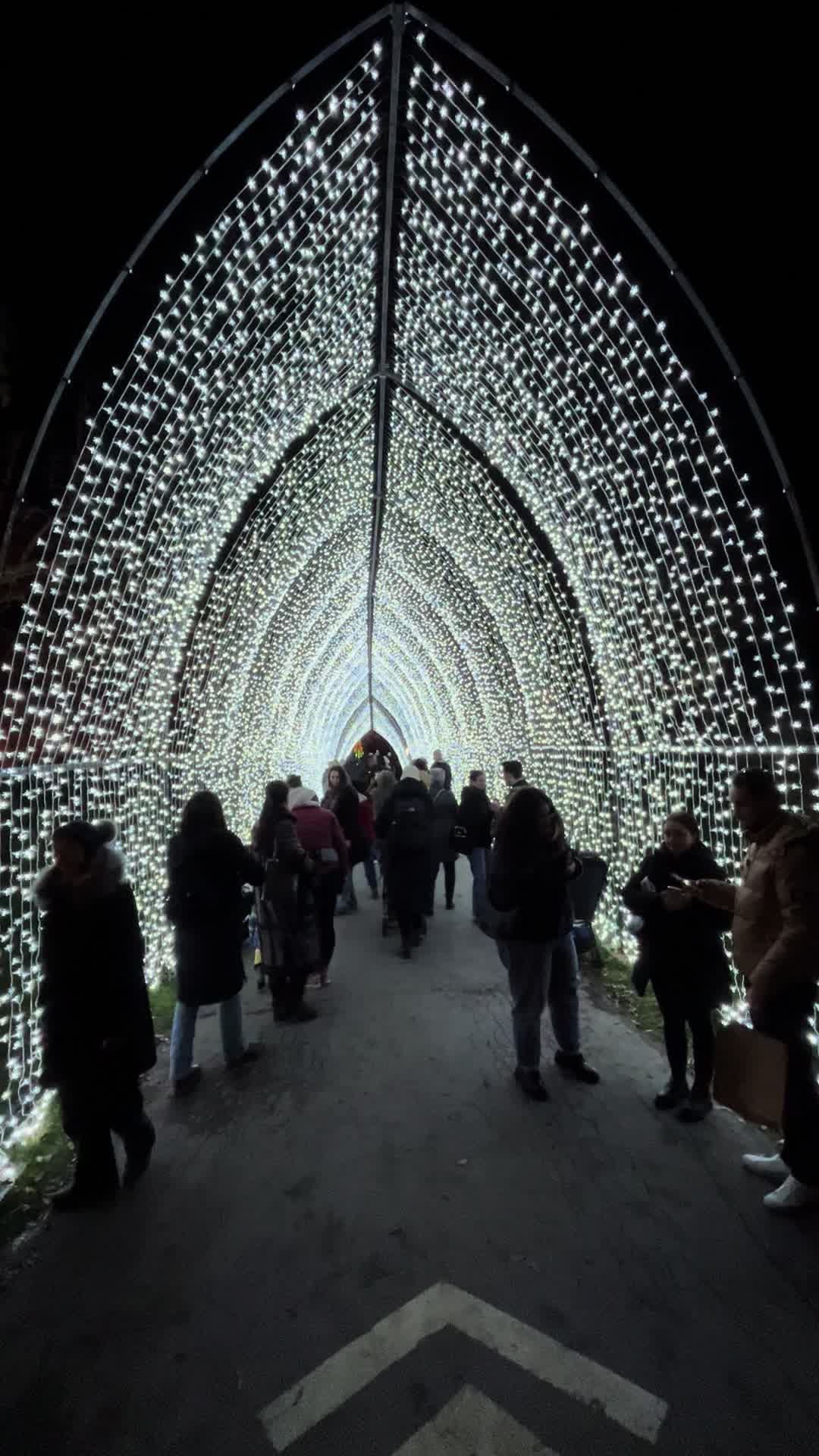 Kew Gardens Christmas at Kew