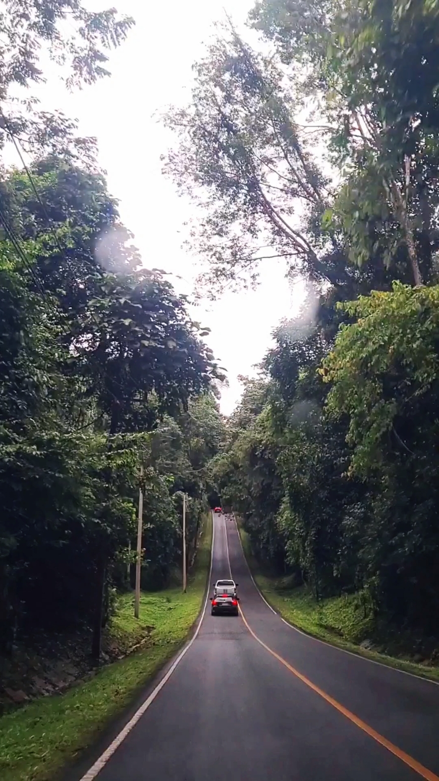 Khao Yai National Park