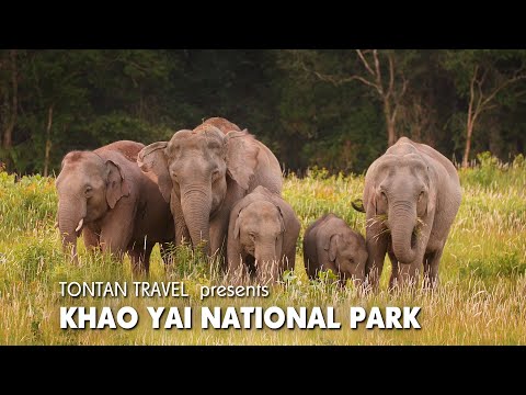 Khao Yai National Park