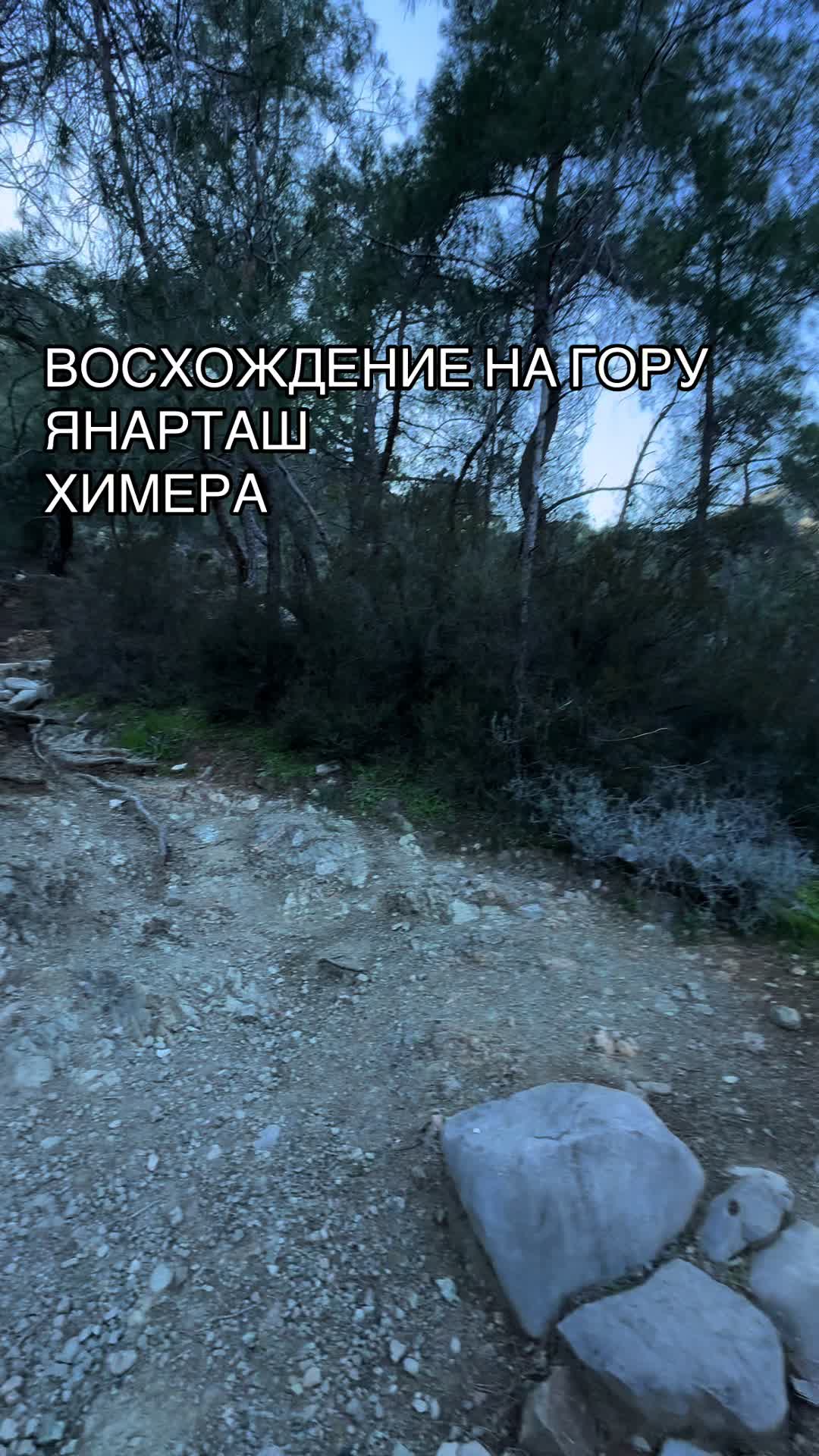 Химера (Янарташ)