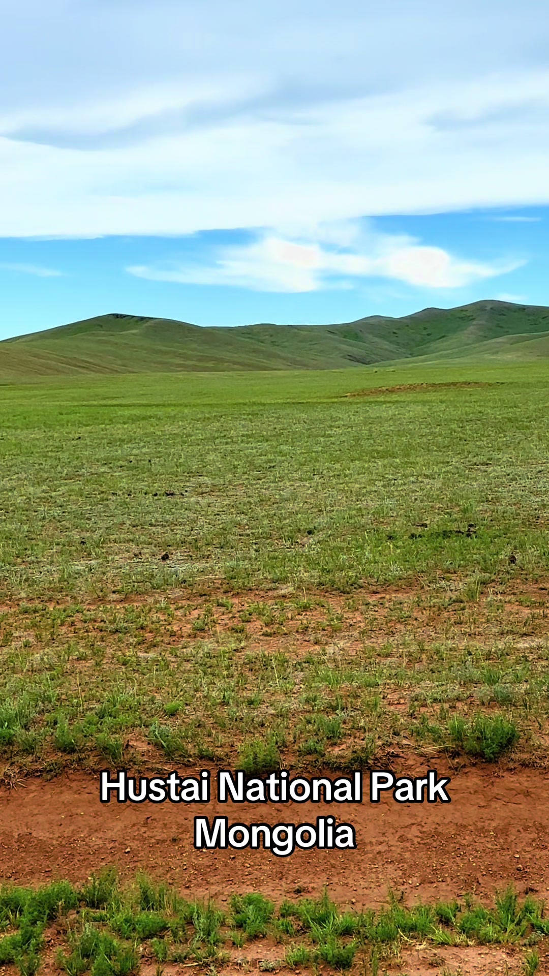 Khustai National Park