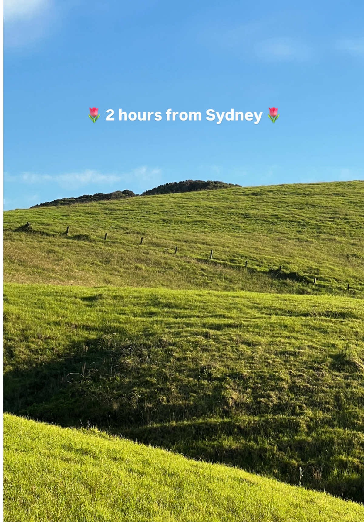 Kiama
