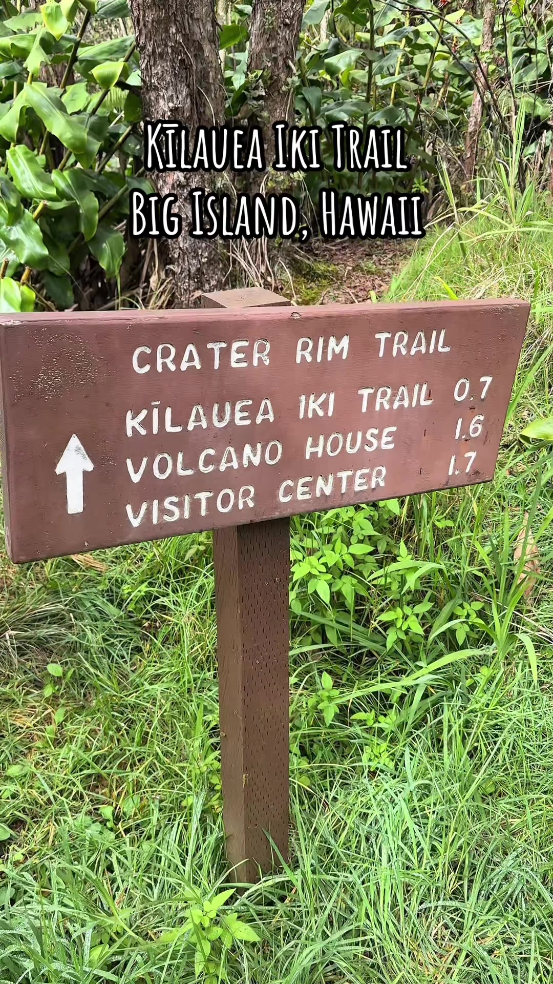 Kilauea Iki Trail