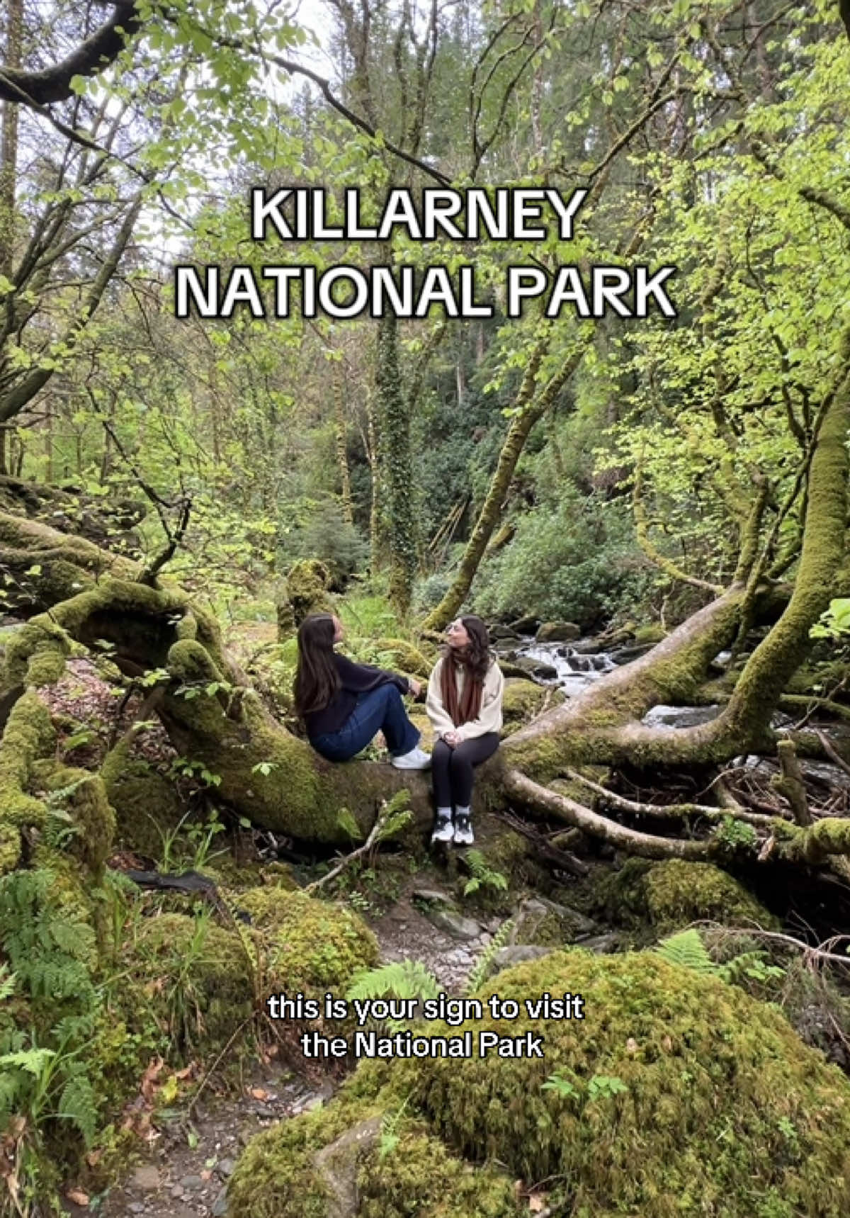 Killarney National Park