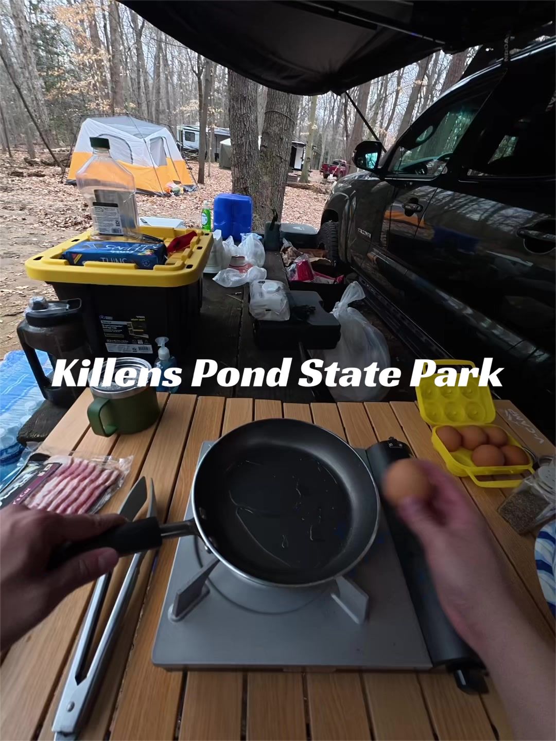 Killens Pond State Park