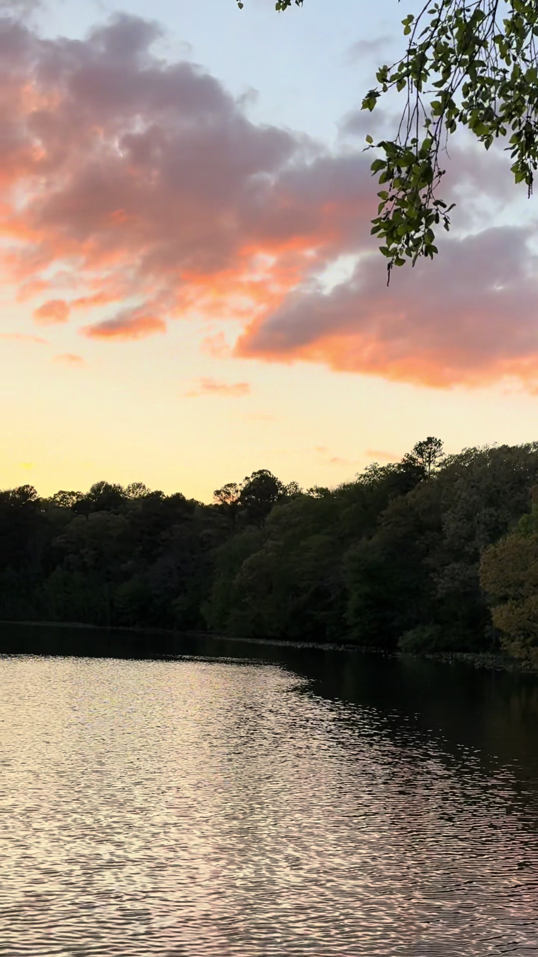 Killens Pond State Park