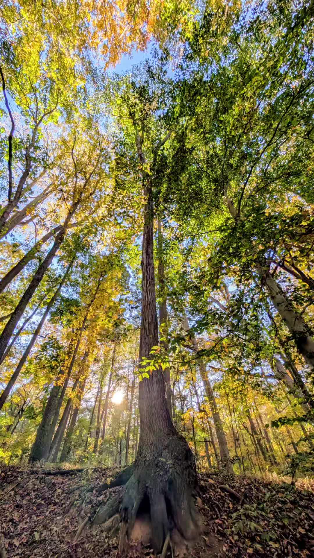 Killens Pond State Park