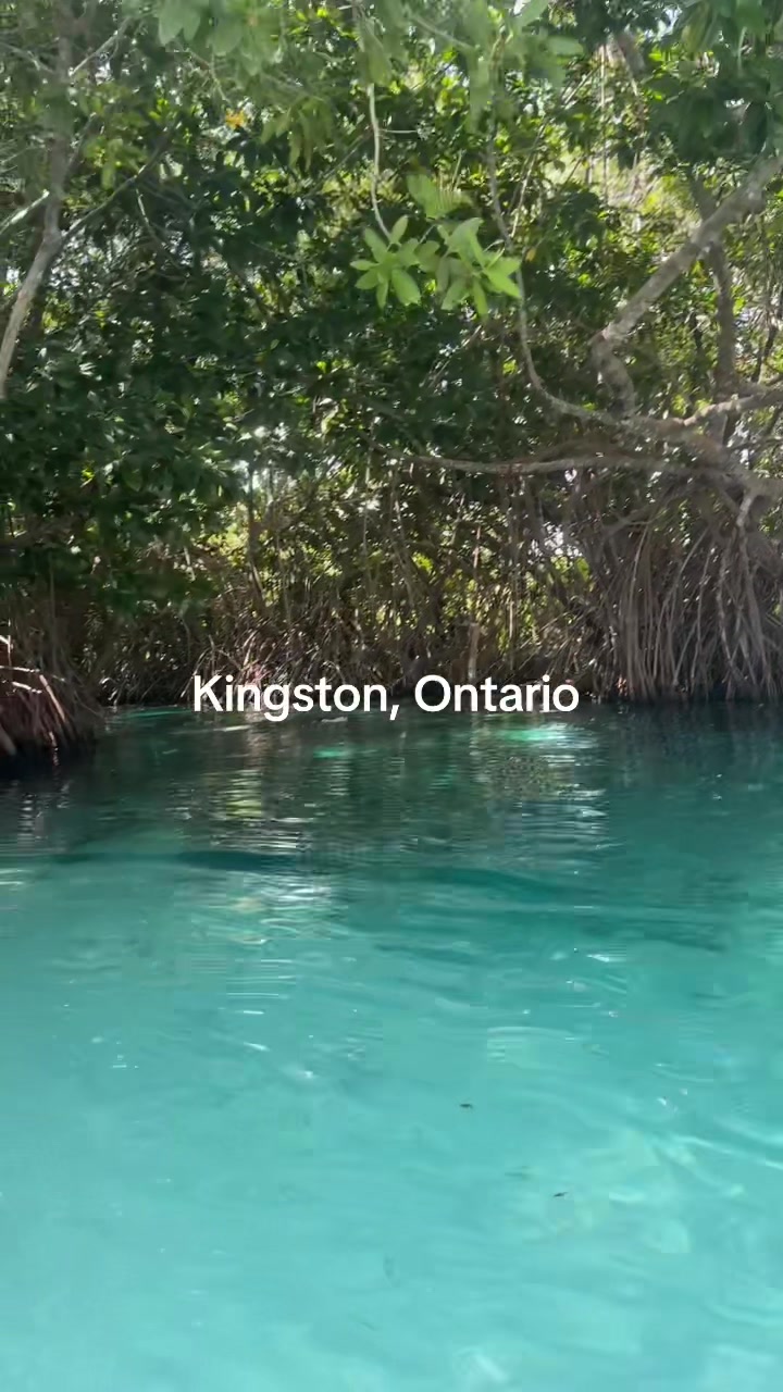 Kingston
