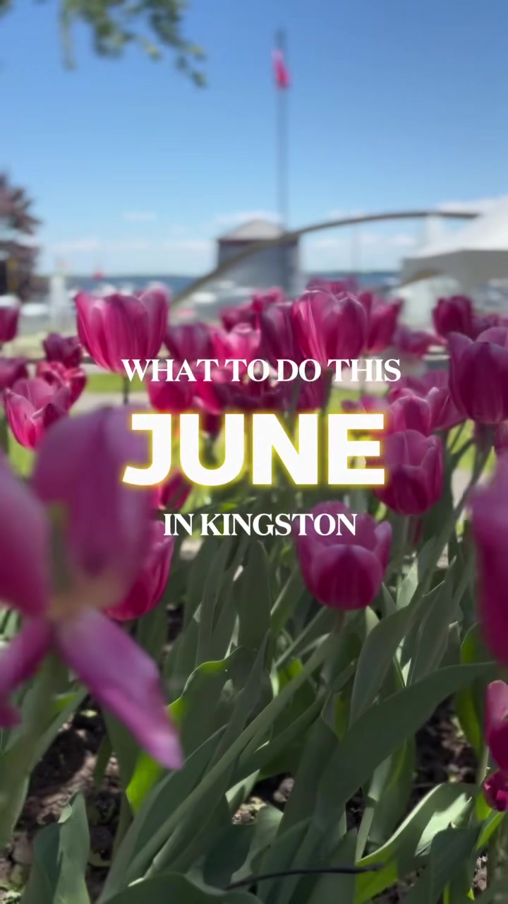 Kingston