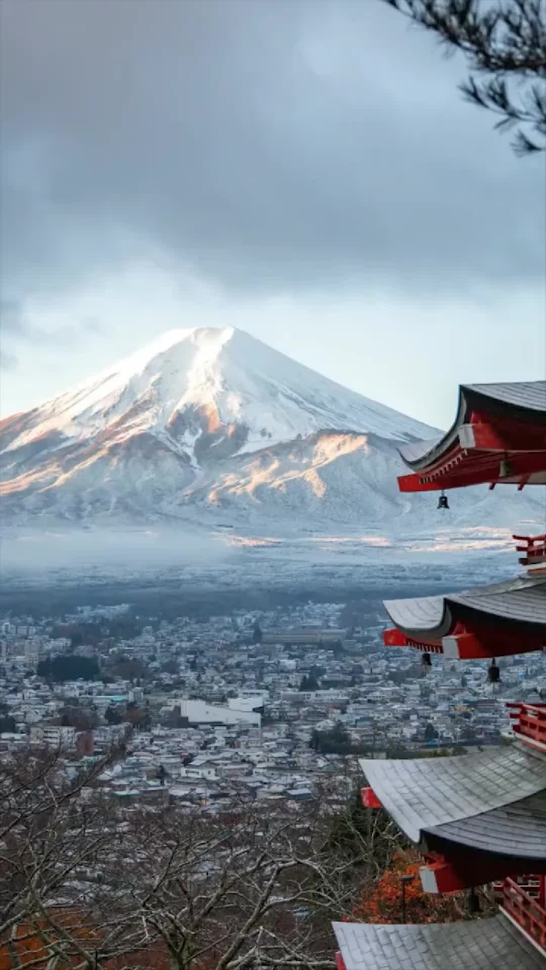 Kinkaku-ji (Golden Pavilion)