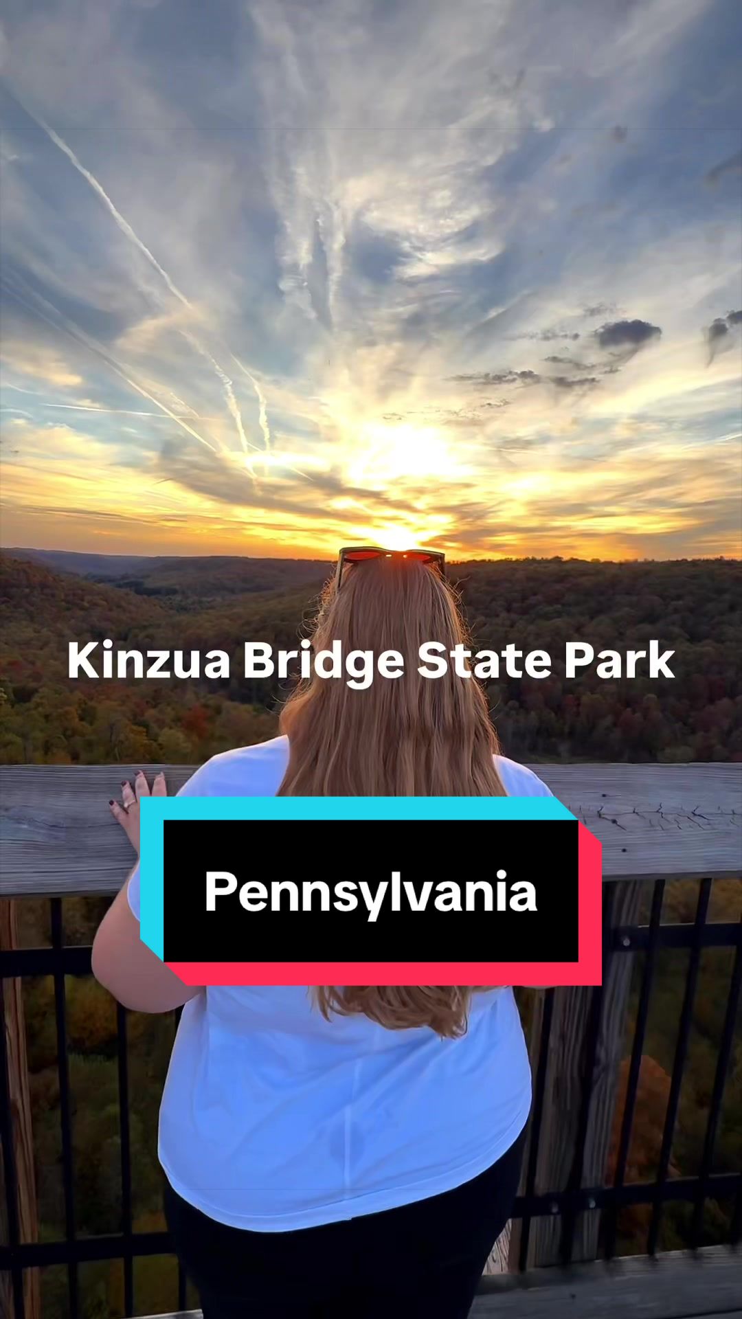 Kinzua Bridge State Park