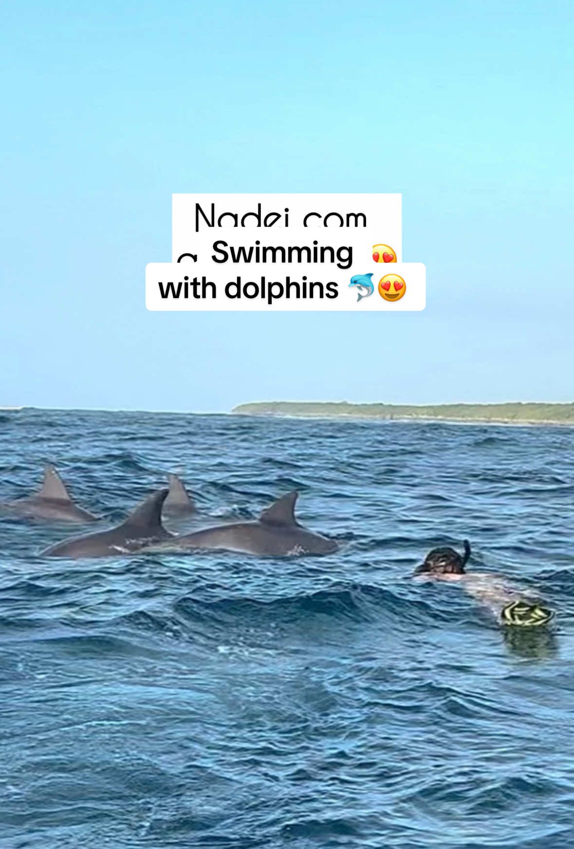 Kizimkazi Dolphin Area