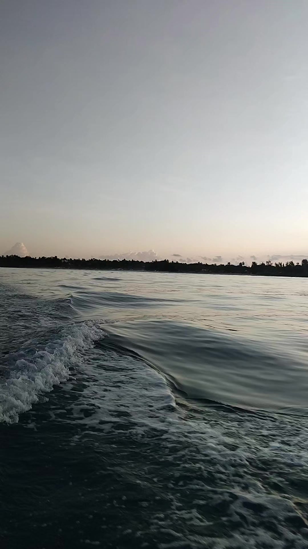 Kizimkazi Dolphin Area