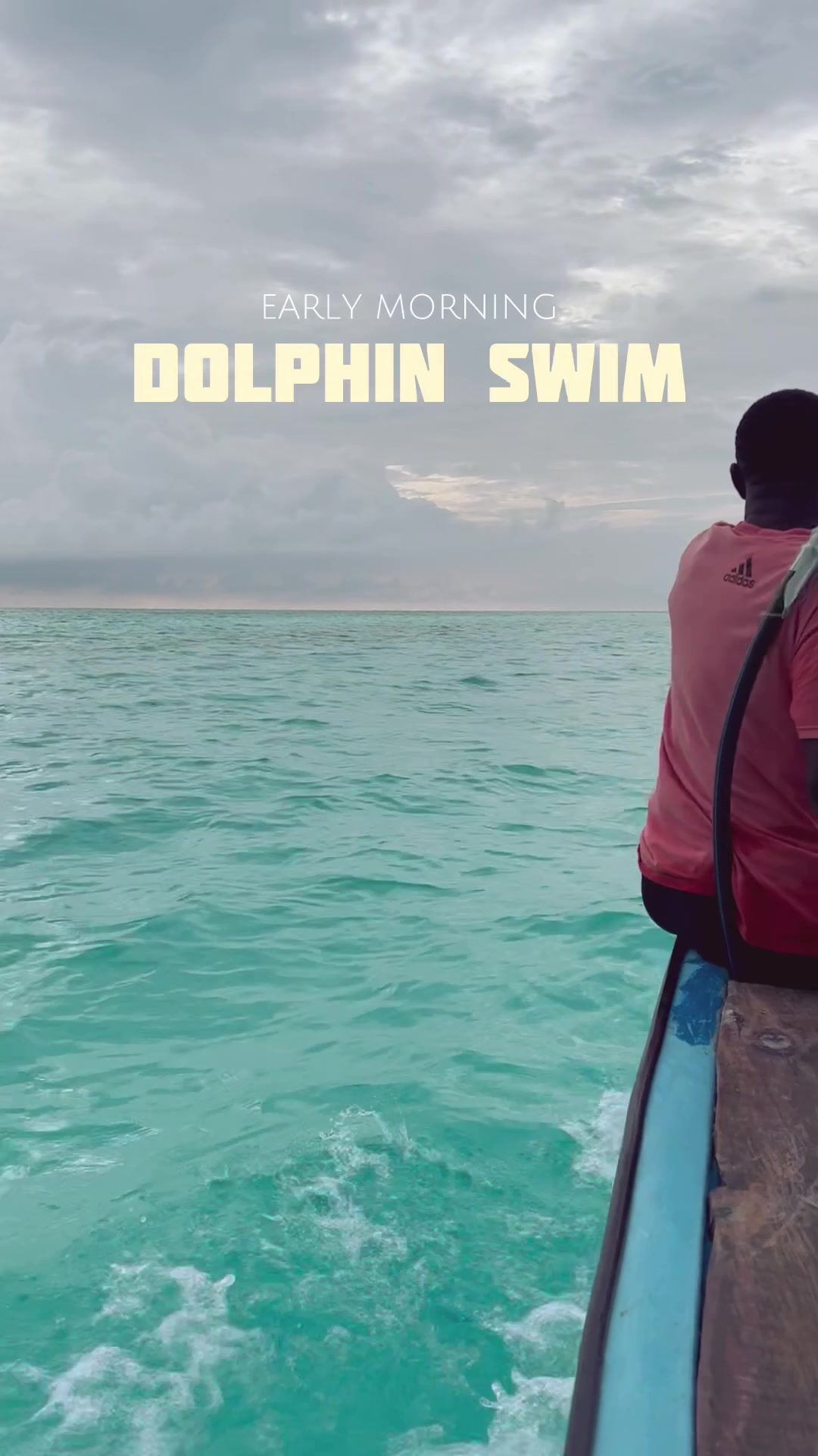 Kizimkazi Dolphin Area