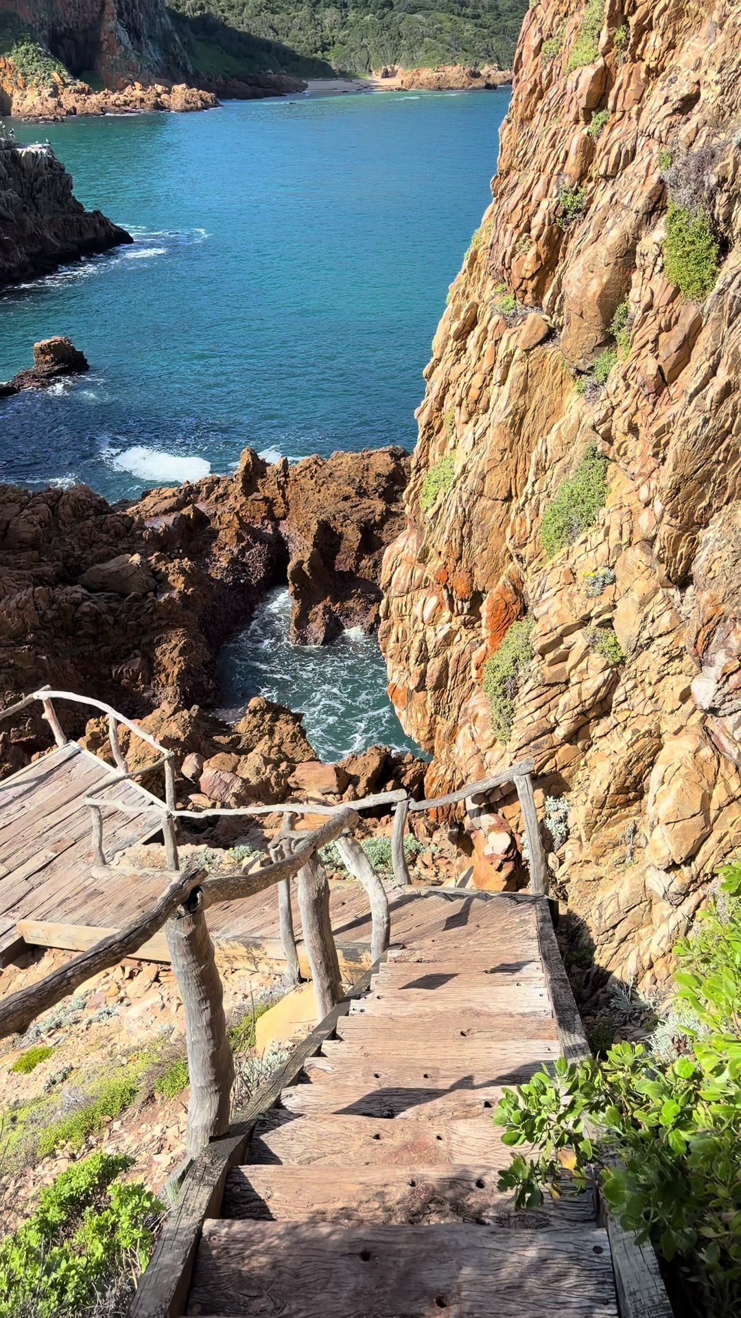 Knysna
