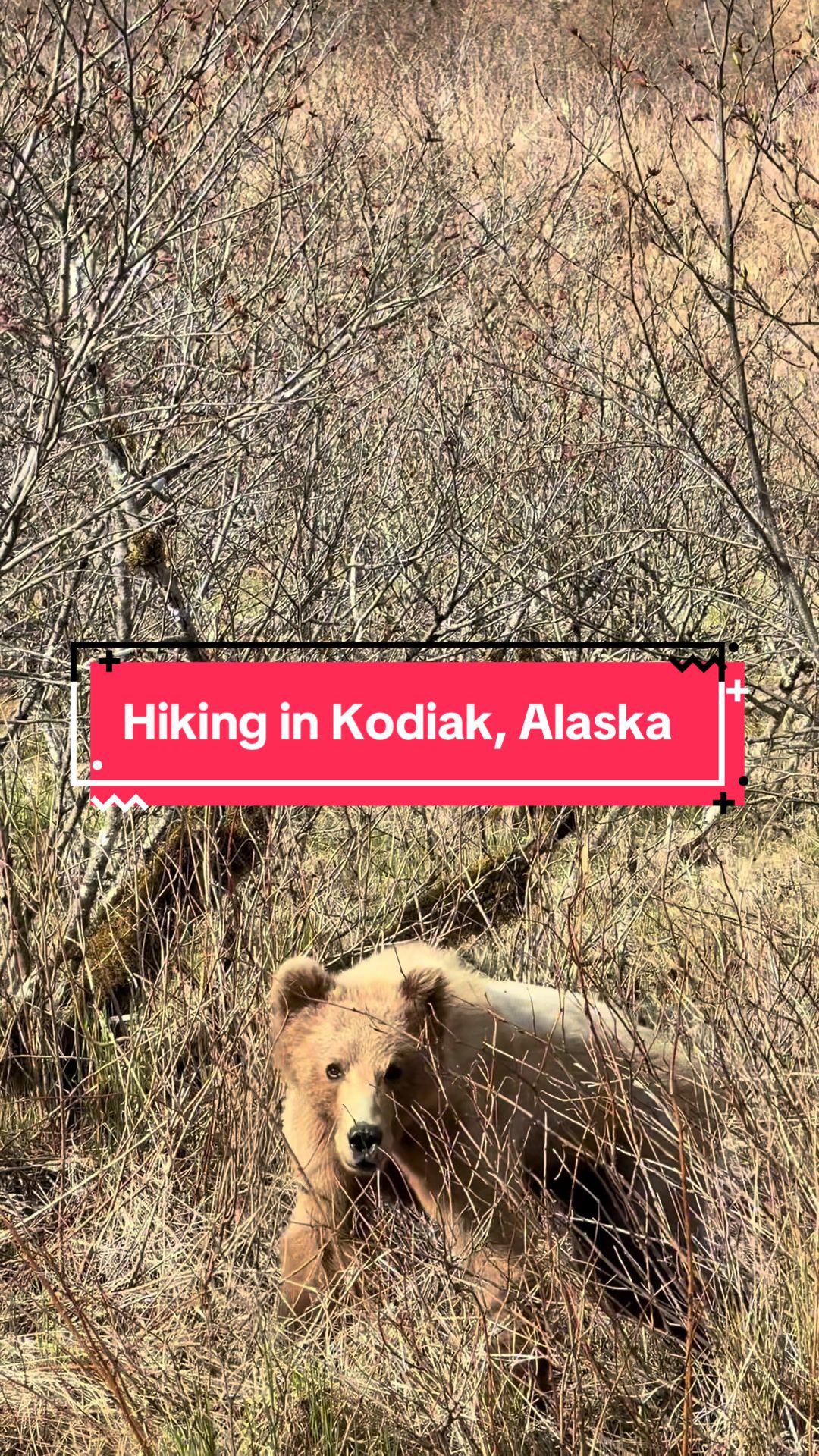 Kodiak National Wildlife Refuge
