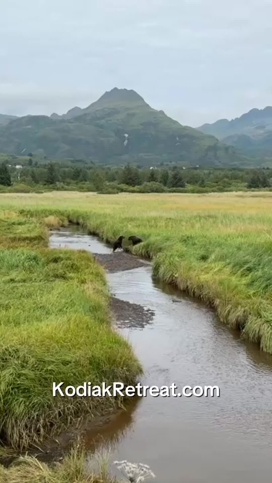 Kodiak National Wildlife Refuge