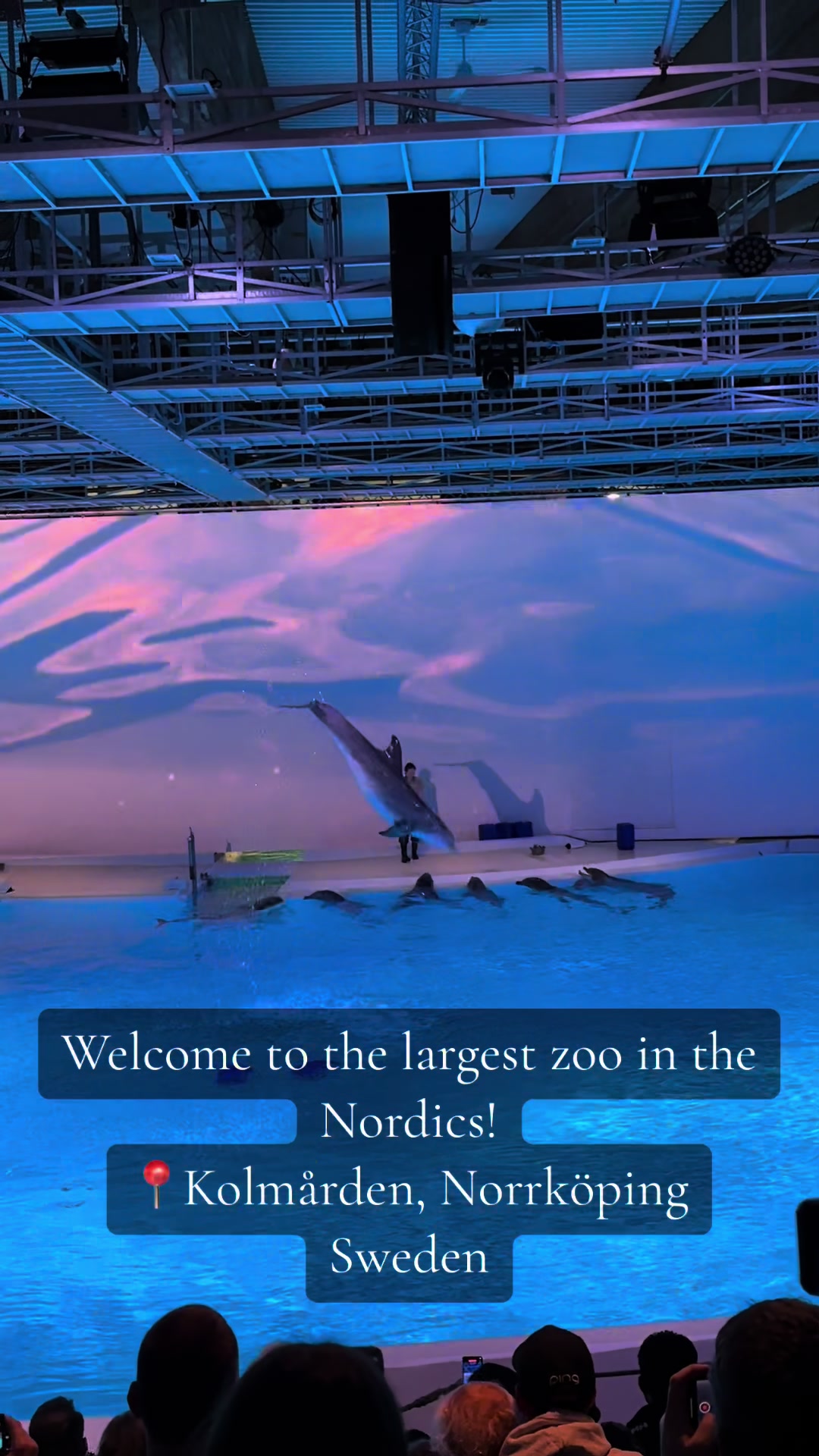 Kolmården Zoo