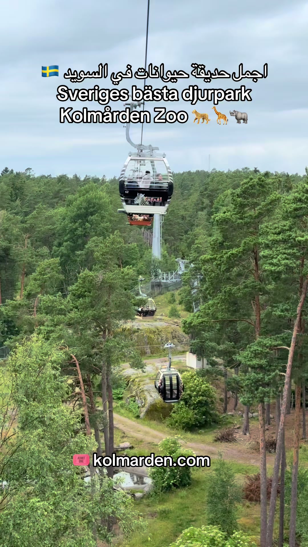 Kolmården Zoo