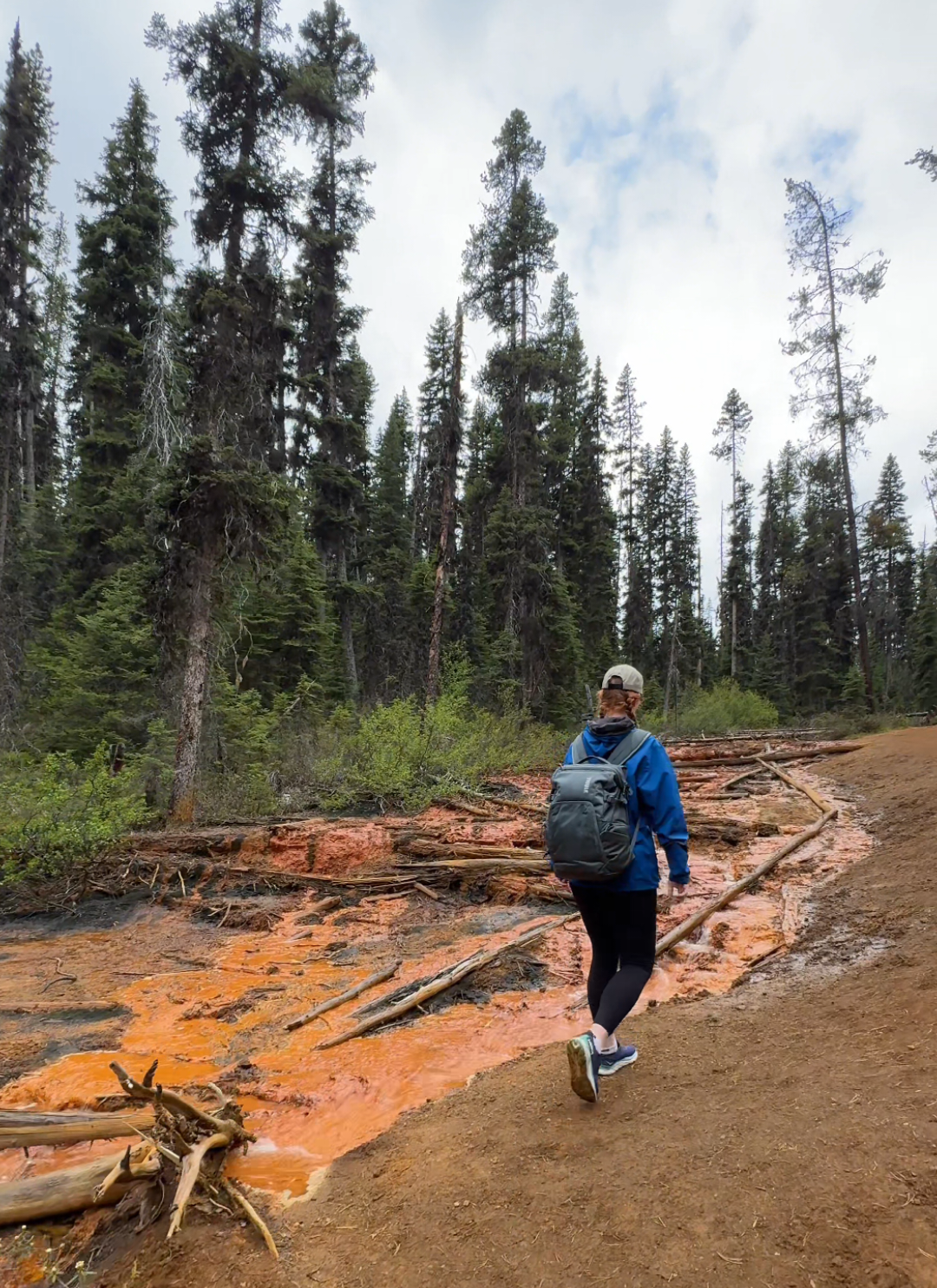 Kootenay National Park