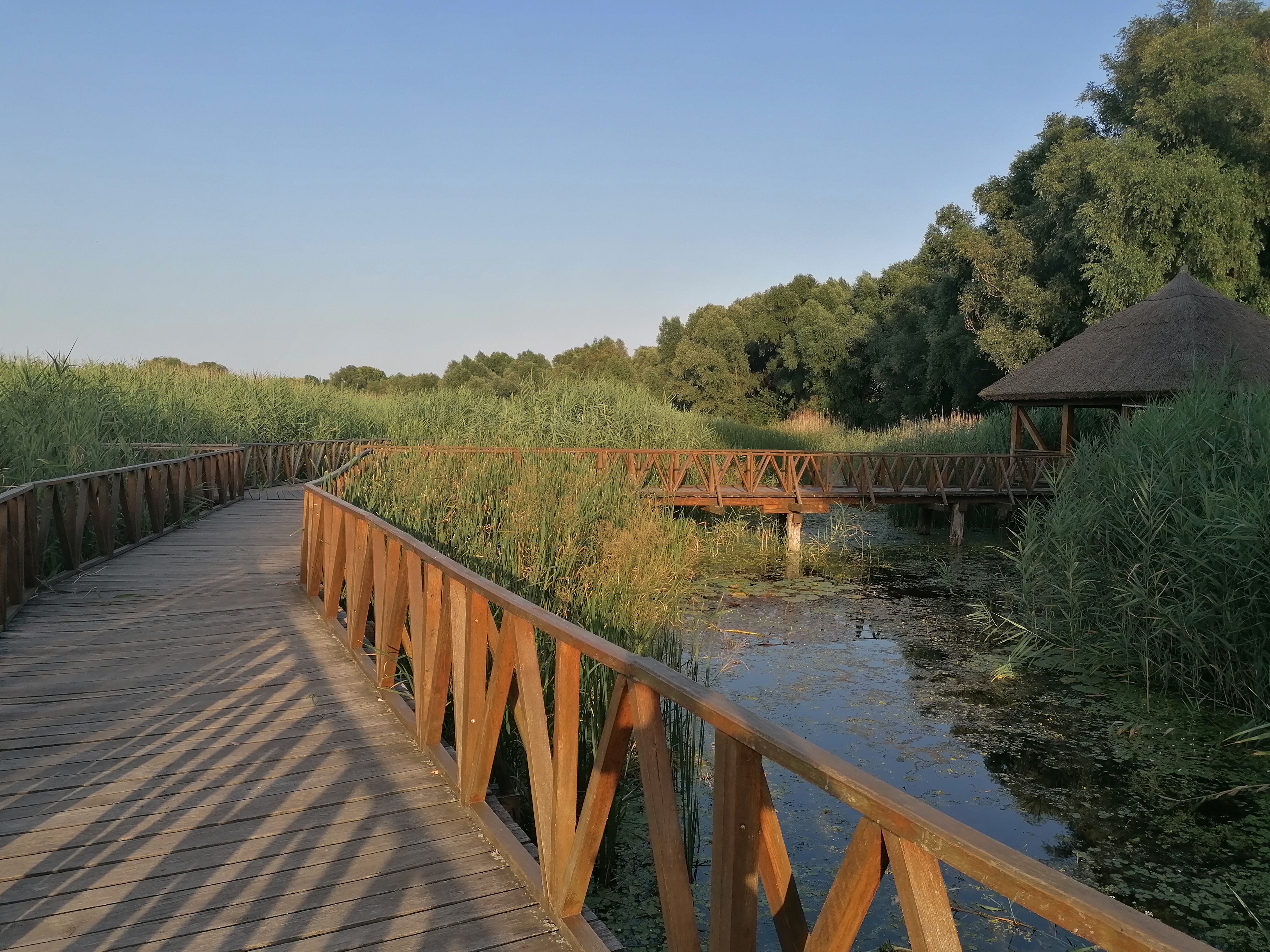 Kopački Rit Nature Park