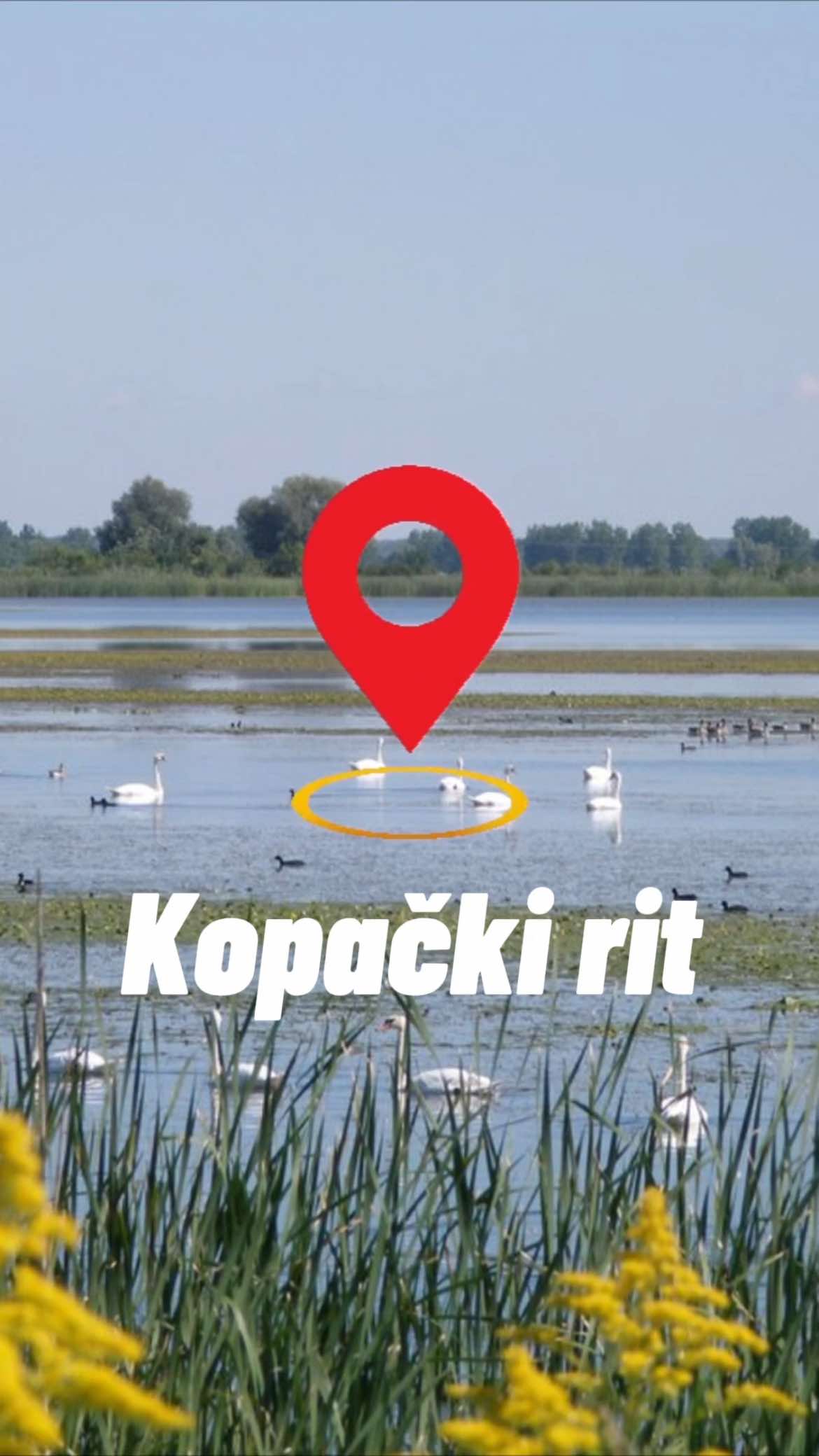 Kopački Rit Nature Park