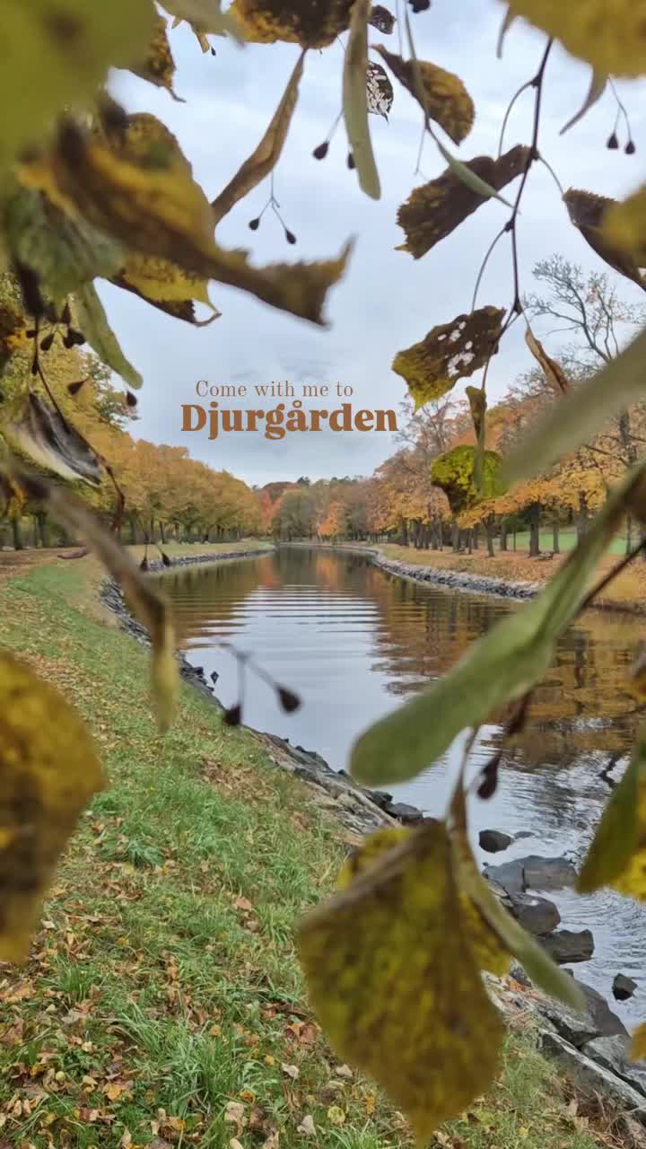 Королевск ий национальный городской парк — Djurgården (прогулки и парки)