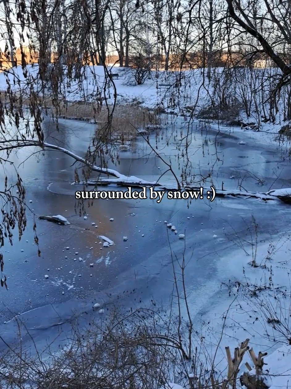 Королевский национальный городской парк — Djurgården (прогулки и парки)