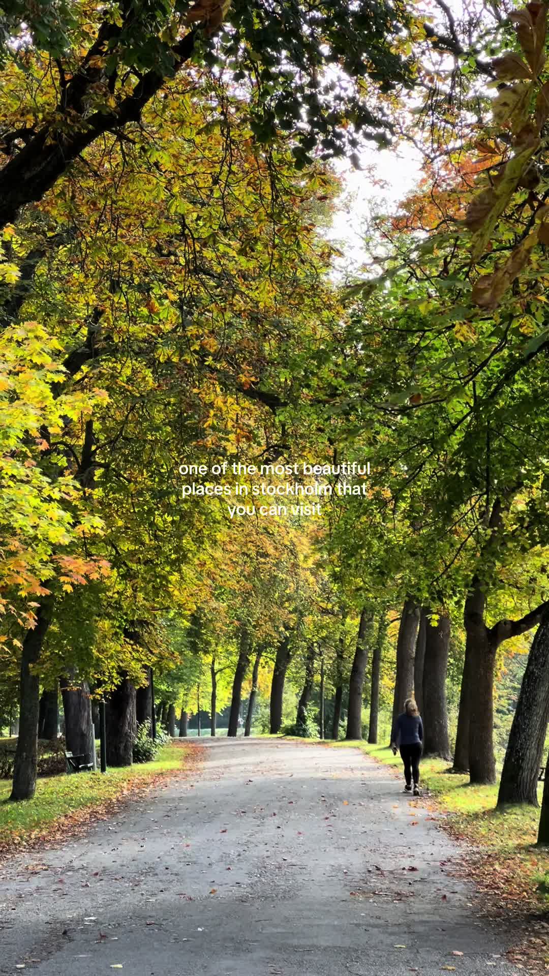 Королевский национальный городской парк — Djurgården (прогулки и парки)