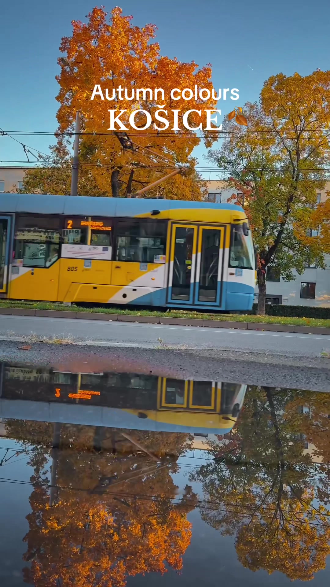 Кошице